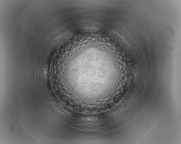 X0000112750745200909031526