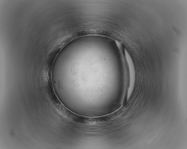 X0000112750746200909031526