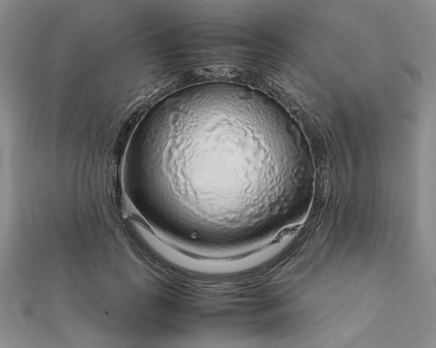 X0000112750747200909031526