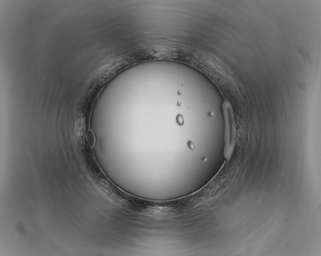 X0000112750748200909031526