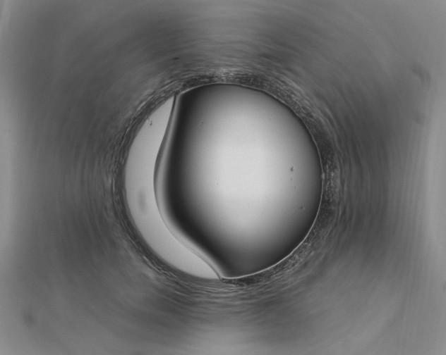 X0000112750750200909031526