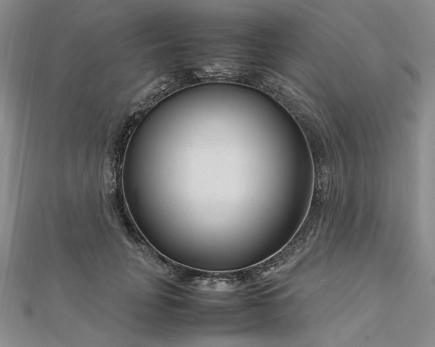 X0000112750751200909031526