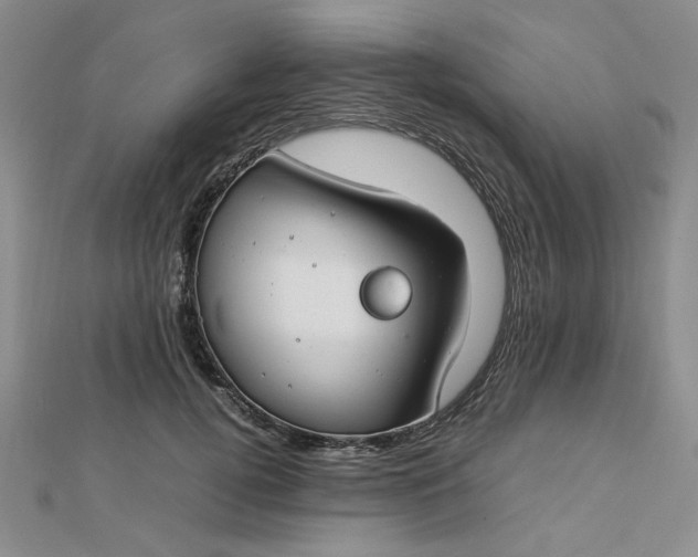 X0000112750752200909031526