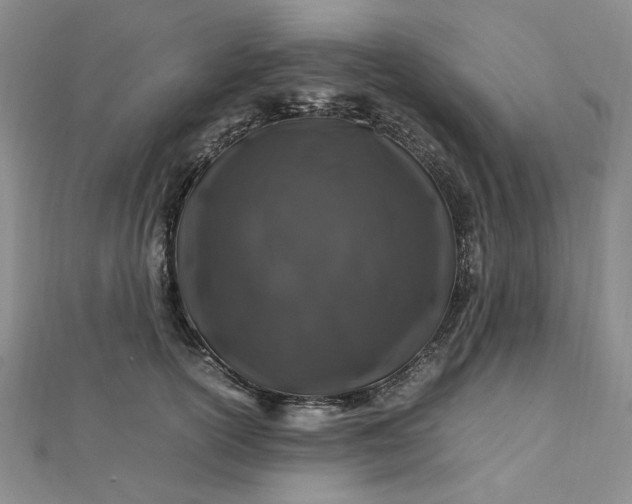 X0000112750754200909031526