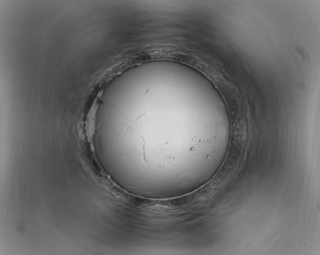 X0000112750755200909031526