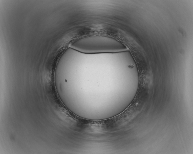 X0000112750756200909031526