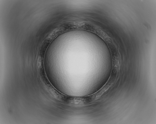 X0000112750758200909031526