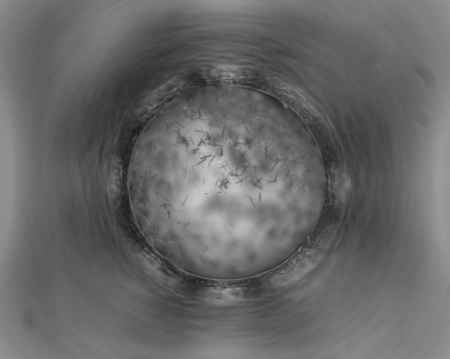 X0000112750760200909031526