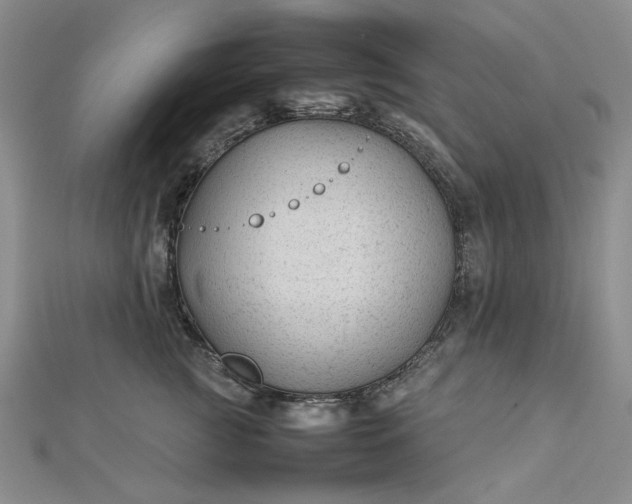 X0000112750761200909031526