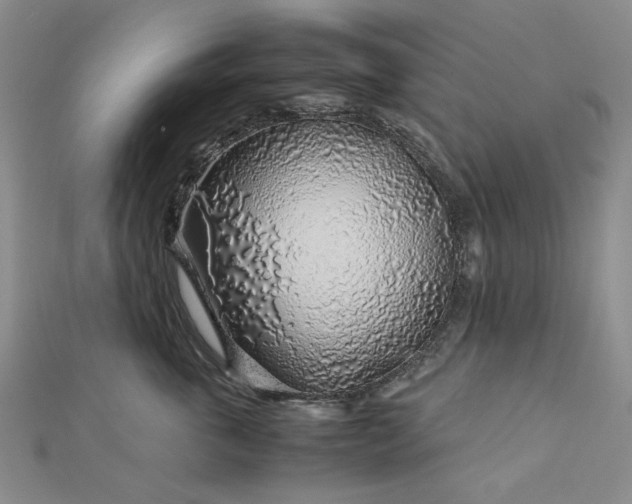 X0000112750763200909031526