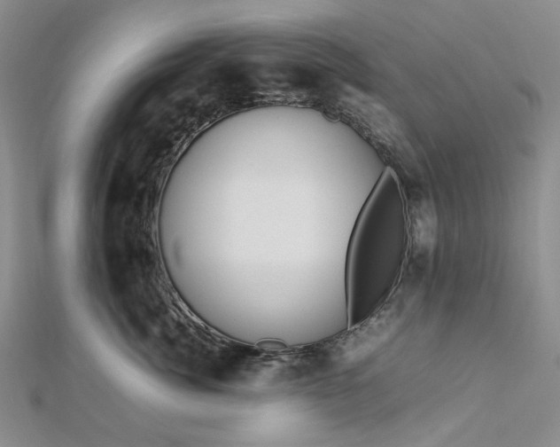 X0000112750764200909031526