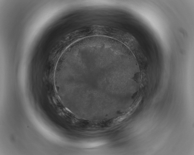 X0000112750765200909031526