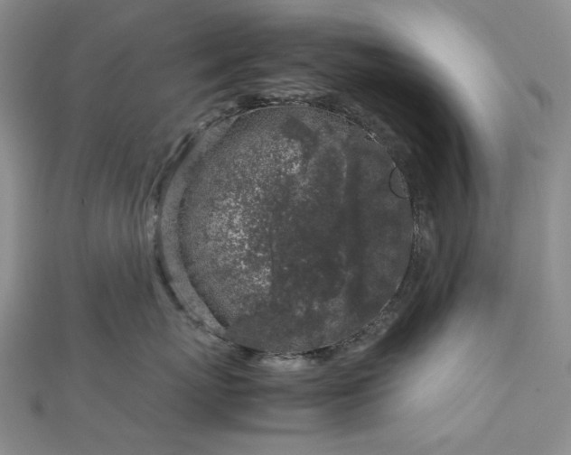 X0000112750767200909031526