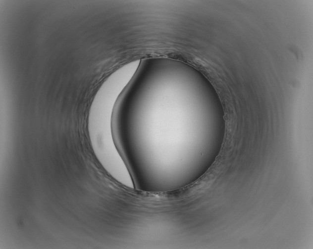 X0000112750768200909031526