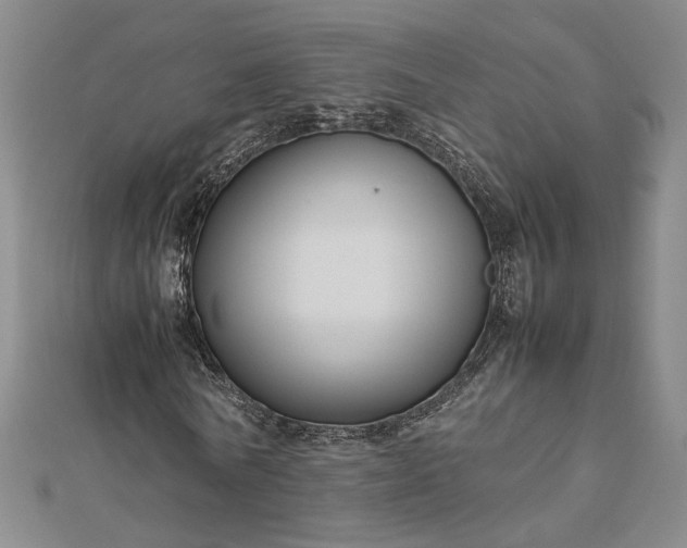 X0000112750770200909031526