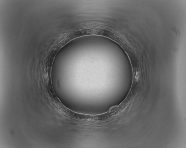 X0000112750771200909031526