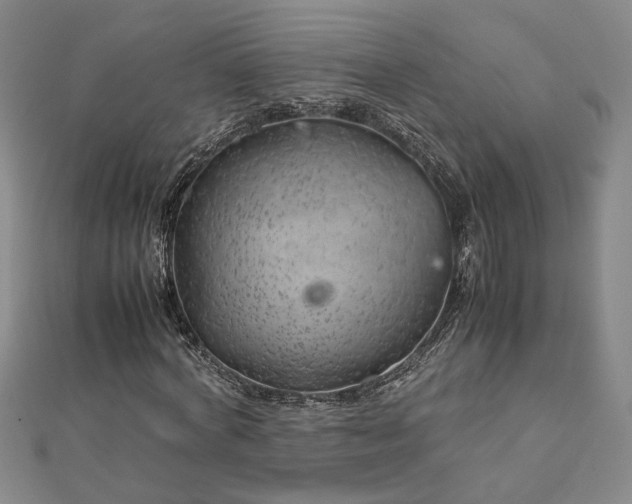 X0000112750772200909031526