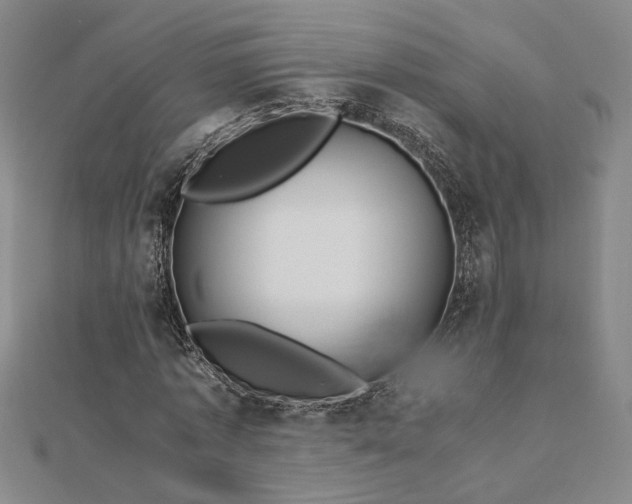 X0000112750773200909031526