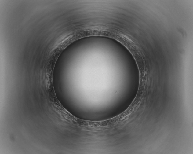 X0000112750774200909031526