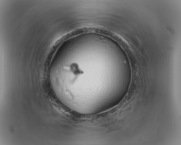 X0000112750775200909031526