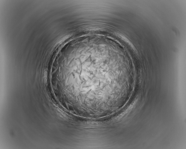 X0000112750777200909031526