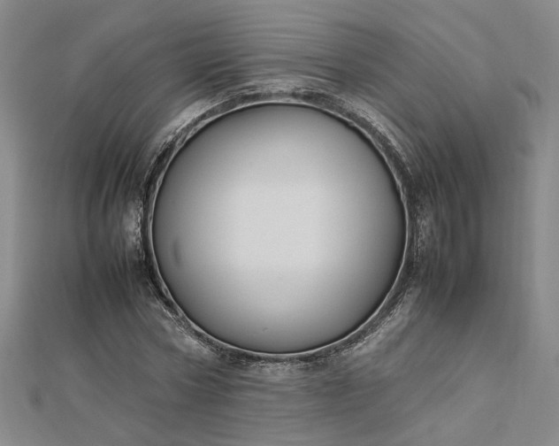 X0000112750778200909031526