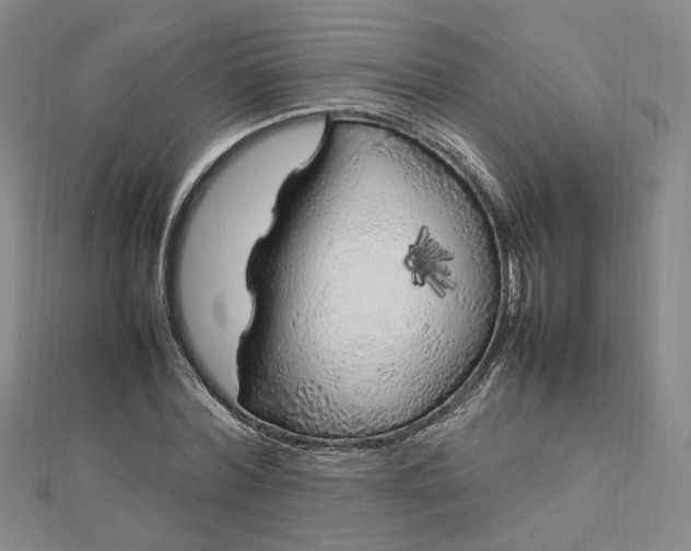 X0000112750780200909031526