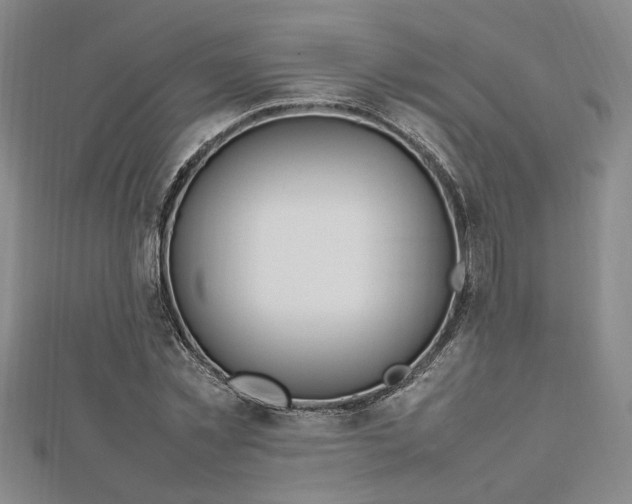 X0000112750781200909031526