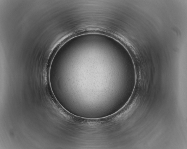 X0000112750782200909031526