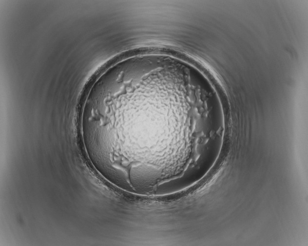 X0000112750783200909031526