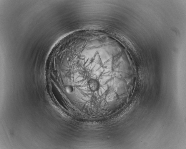 X0000112750784200909031526