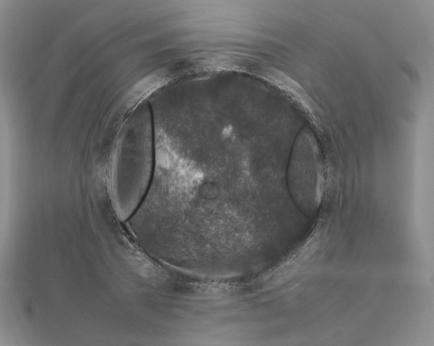 X0000112750785200909031526