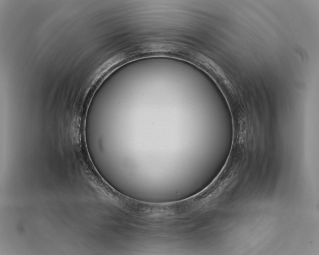 X0000112750786200909031526