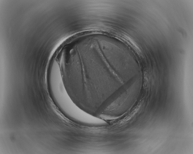 X0000112750788200909031526