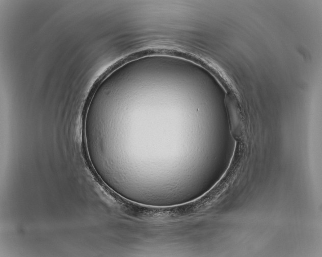 X0000112750791200909031525