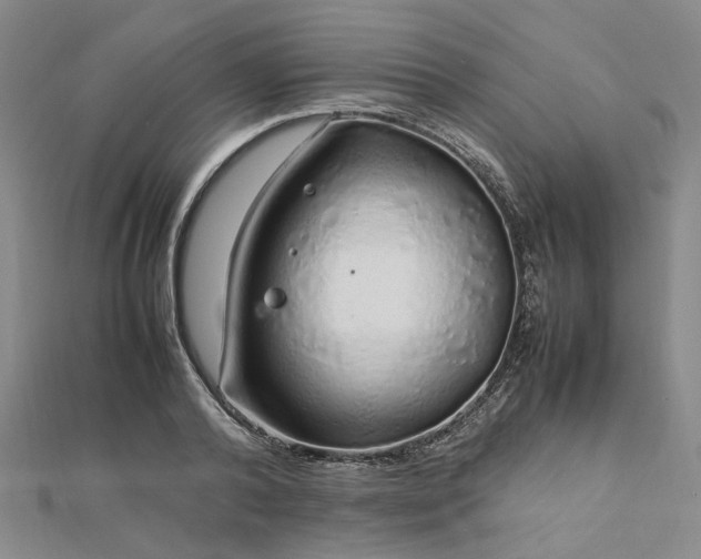 X0000112750792200909031525