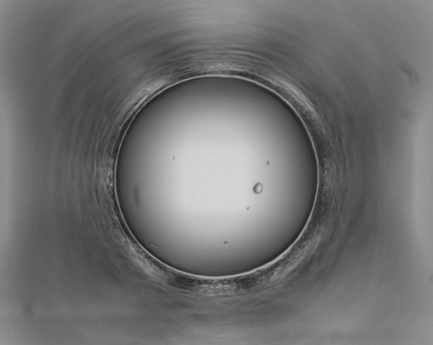 X0000112750793200909031525