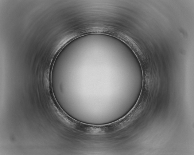 X0000112750794200909031525