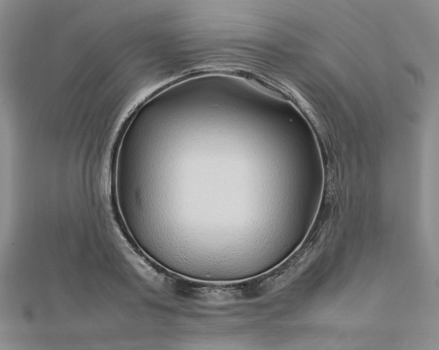 X0000112750795200909031525