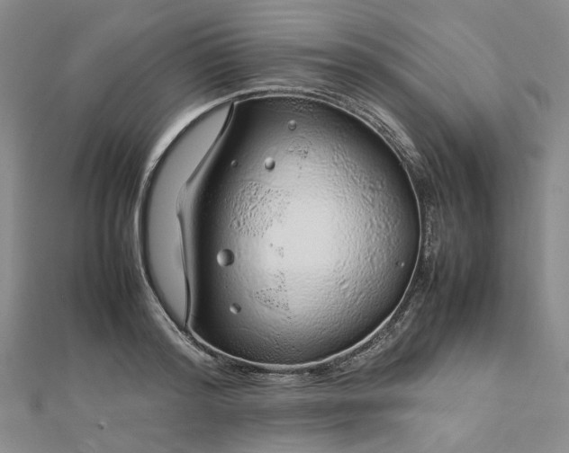 X0000112750796200909031525