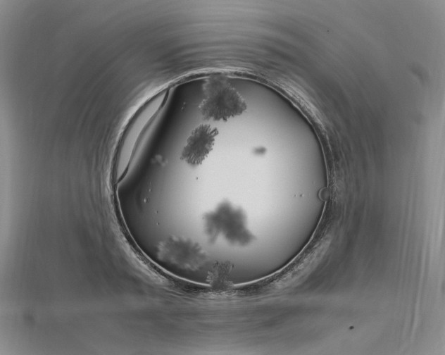 X0000112750797200909031525