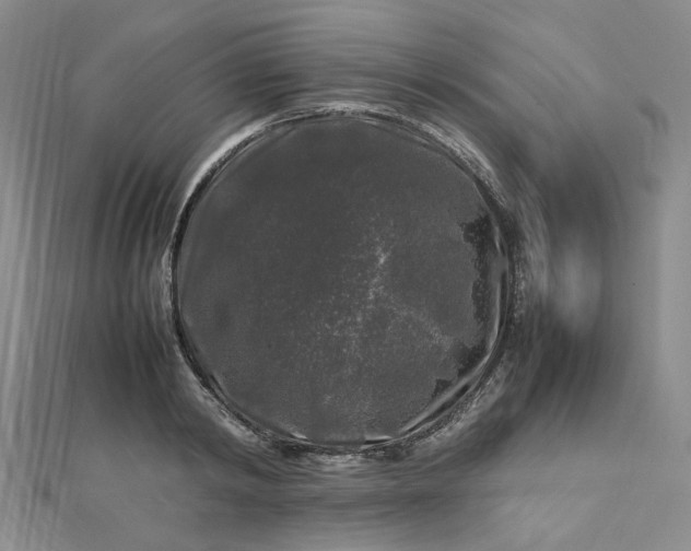 X0000112750798200909031525