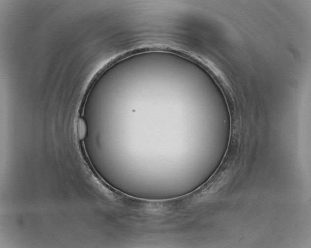 X0000112750799200909031525