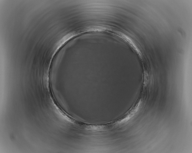 X0000112750802200909031525