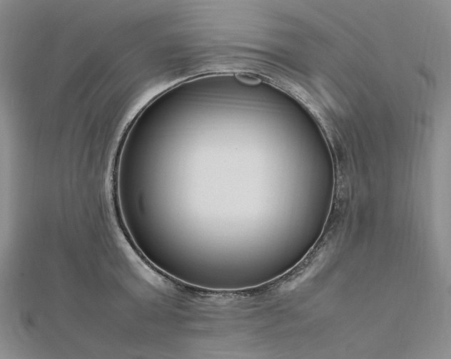 X0000112750803200909031525