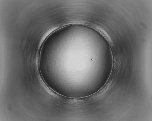 X0000112750804200909031525