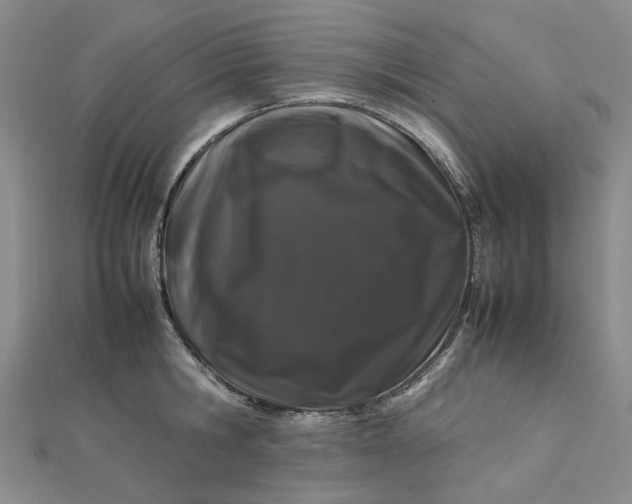 X0000112750806200909031525