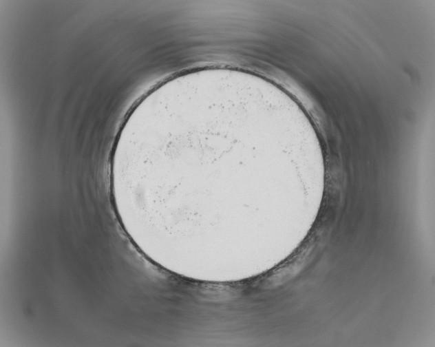 X0000112750807200909031525