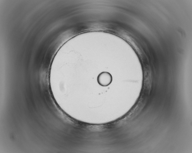 X0000112750810200909031525