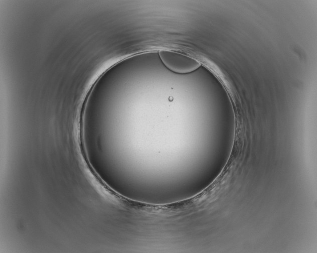 X0000112750811200909031525